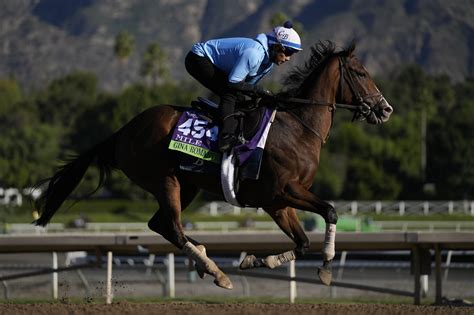 The spate of racehorse deaths this year has Breeders’ Cup under intense scrutiny